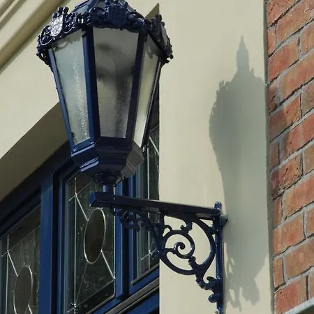 Merlin Марианске-Лазне